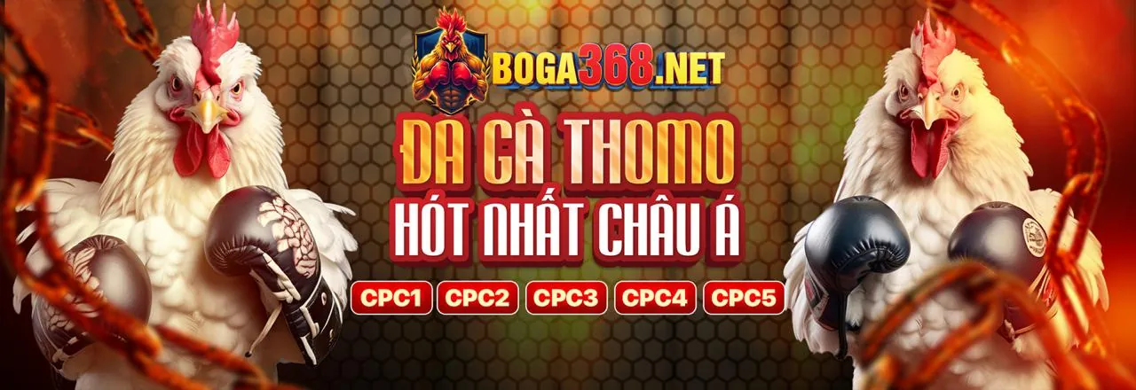 Cá Cược Thể Thao tại kubet